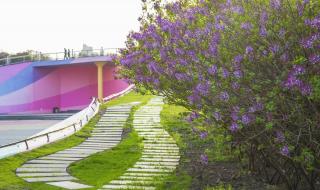 哈尔滨什么时候解封