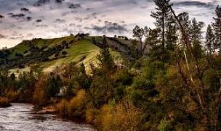 芡实剥壳机 芡实剥壳机